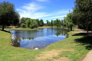 Auburn Regional Park | Auburn, CA