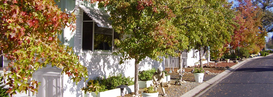 Rock Creek Mobilehome Community | Auburn, CA